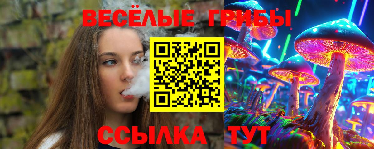 Галлюциногенные грибы мицелий Россия
